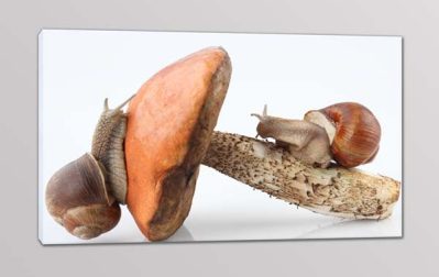 quadro moderno lumache