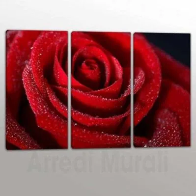 Quadri moderni rosa rossa da 3 tele