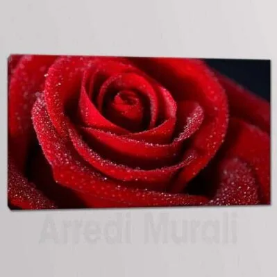 Quadri moderni rosa rossa in 3 tele stampate con rosa rossa e gocce di rugiada elegante e raffinato