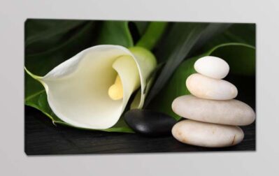 quadro moderno calla