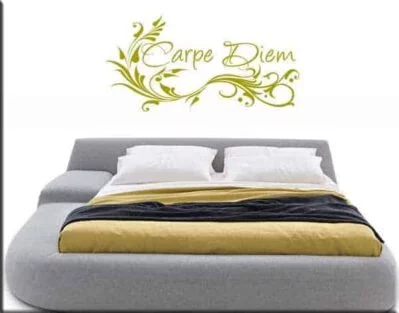 wall stickers carpe diem
