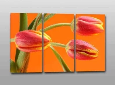 quadri moderni fiori tulipani