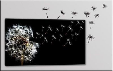 quadro moderno adesivi murali soffioni