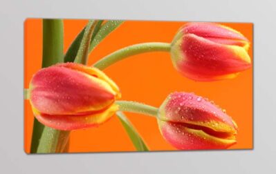 quadro moderno fiori tulipani