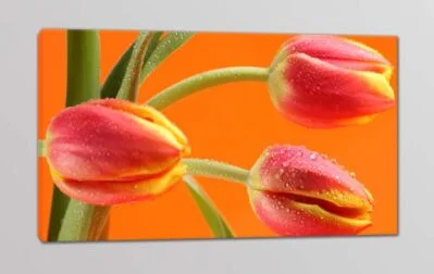 quadro moderno fiori tulipani