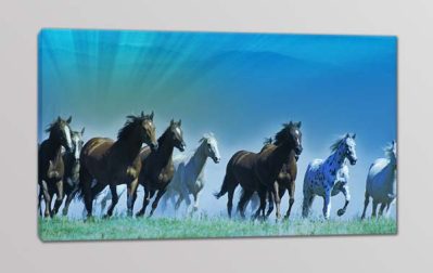 quadro moderno cavalli