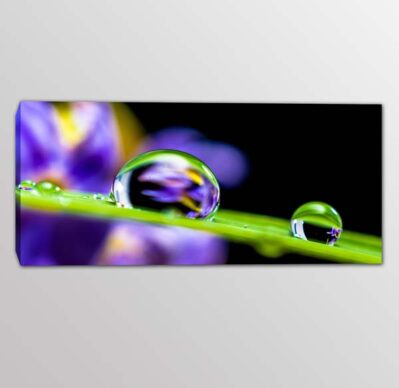 quadro moderno stampa tela digitale