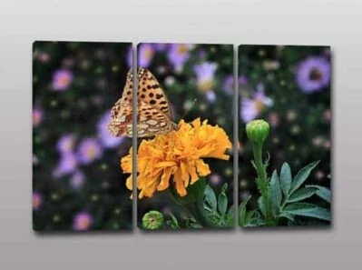 Tris di quadri moderni con fiore e farfalla