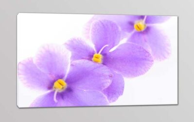 quadro moderno stampa tela fiori