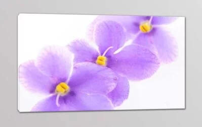 quadro moderno stampa tela fiori