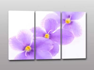 tris quadri moderni stampa fiori