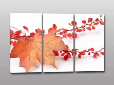 Tris quadri moderni natura morta