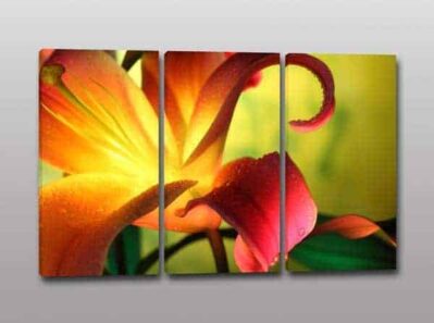 Quadri moderni fiore stampa tela