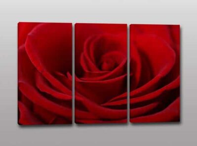 quadri moderni rosa rossa stampa fiore