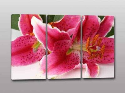 quadri moderni stampa fiori arredo