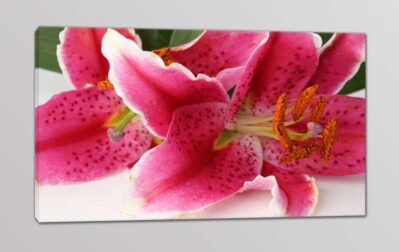 quadro moderno stampa fiori arredo