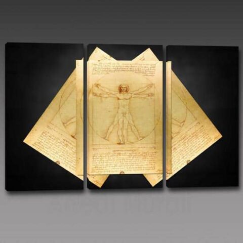 quadri riproduzione uomo vitruviano di Leonardo Da Vinci