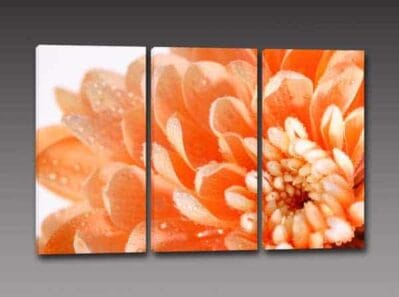 Quadri moderni stampa fiore arredo