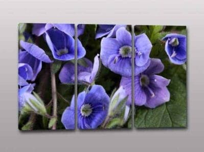 Quadri moderni arredo stampa fiori