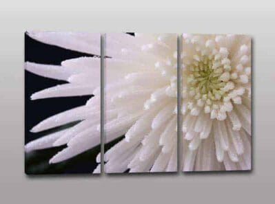 Quadri moderni fiore stampa tela arredo