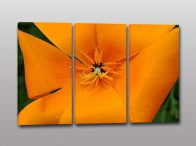 Quadri moderni fiore stampa digitale tela