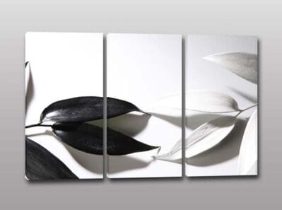 Quadri moderni stampa foglie bianche nere