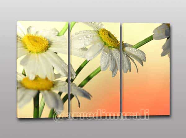 quadri moderni con fiori margherite