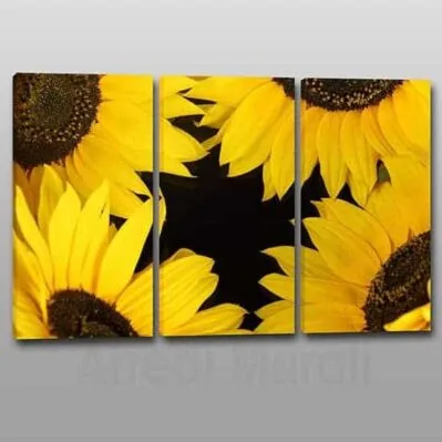 Quadri moderni girasoli fiori su 3 tele
