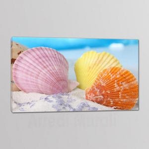 Feeby Quadro su Tela Spiaggia 3 pezzi 60x20 cm Stampa Murale Fotografia Decorazione da parete Immagini Moderni per Soggiorno Camera da Letto Ufficio Cucina Spiaggia Conchiglie Bianco