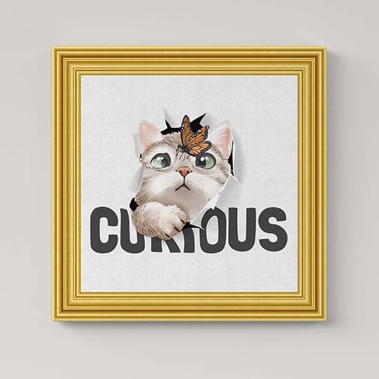 Quadro su tela con gatto curioso